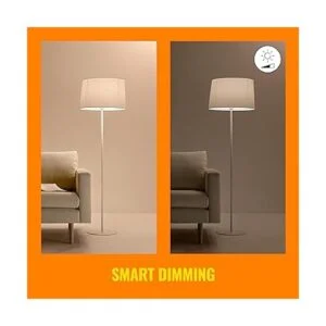 WiZ Connected Tunable White ST19 Lámpara de filamento_5