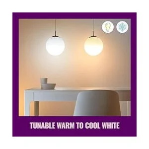WiZ Connected Tunable White ST19 Lámpara de filamento_4