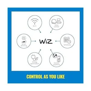 WiZ Connected Tunable White ST19 Lámpara de filamento_3