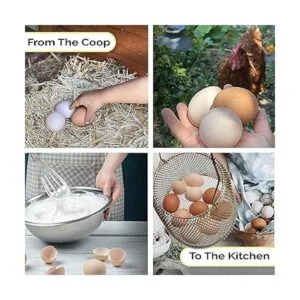 Auhafaly Canasta de huevos mini almacenamiento plegable_5