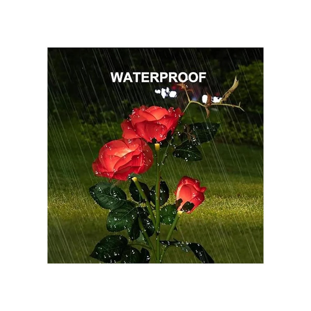 Paquete de 2 luces solares al aire libre decorativas_2