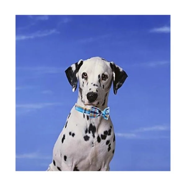 Collar de perro y gato para Navidad con diseño de patas de_5