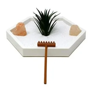 Natures Mark Mini kit de jardín Zen para escritorio con_1