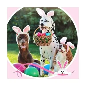 Diadema de orejas de conejo 12 diademas de orejas de_4