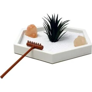 Natures Mark Mini kit de jardín Zen para escritorio con_4