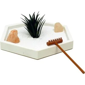 Natures Mark Mini kit de jardín Zen para escritorio con_3