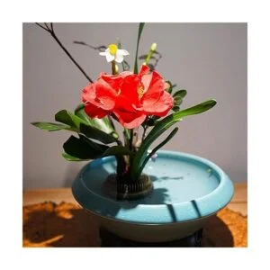 Arreglos florales redondos 3 piezas de rana herramientas_5