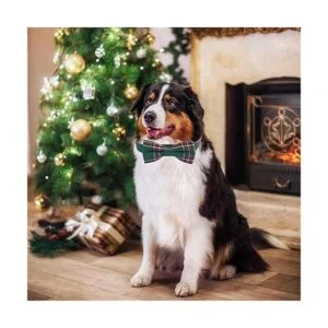 PTDECOR Collar de Navidad para perro con lazo collares_3