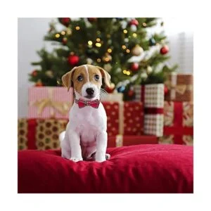 PTDECOR Collar de Navidad para perro con lazo collares_2