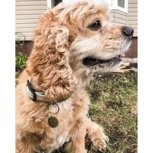 ABBECIAO Etiquetas redondas de latón de calibre 16 discos_6