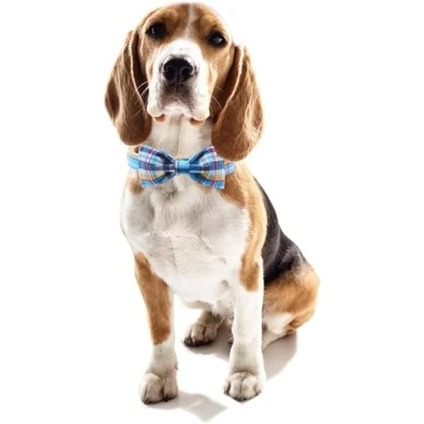 Collar de perro y gato para Navidad con diseño de patas de_6