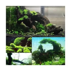 kathson Decoración natural de madera flotante para_4