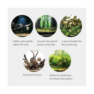 kathson Decoración natural de madera flotante para_6