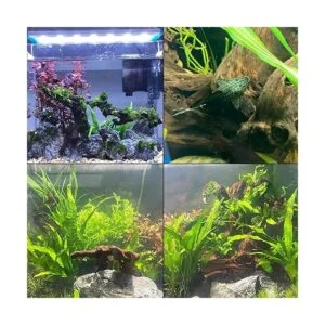 kathson Decoración natural de madera flotante para_5