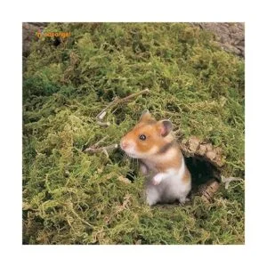 Niteangel Ropa de cama de musgo forestal suave y natural_3