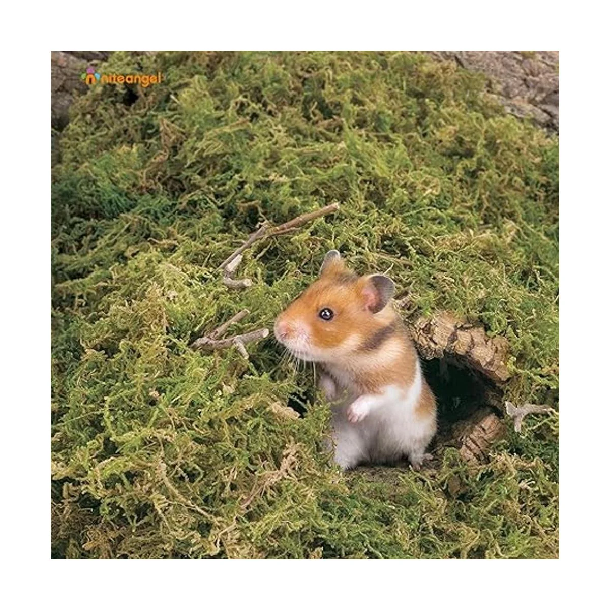 Niteangel Ropa de cama de musgo forestal suave y natural_3