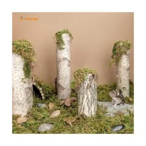 Niteangel Ropa de cama de musgo forestal suave y natural_2