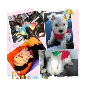 8 camisas cálidas para mascotas ropa para perro conejo_4