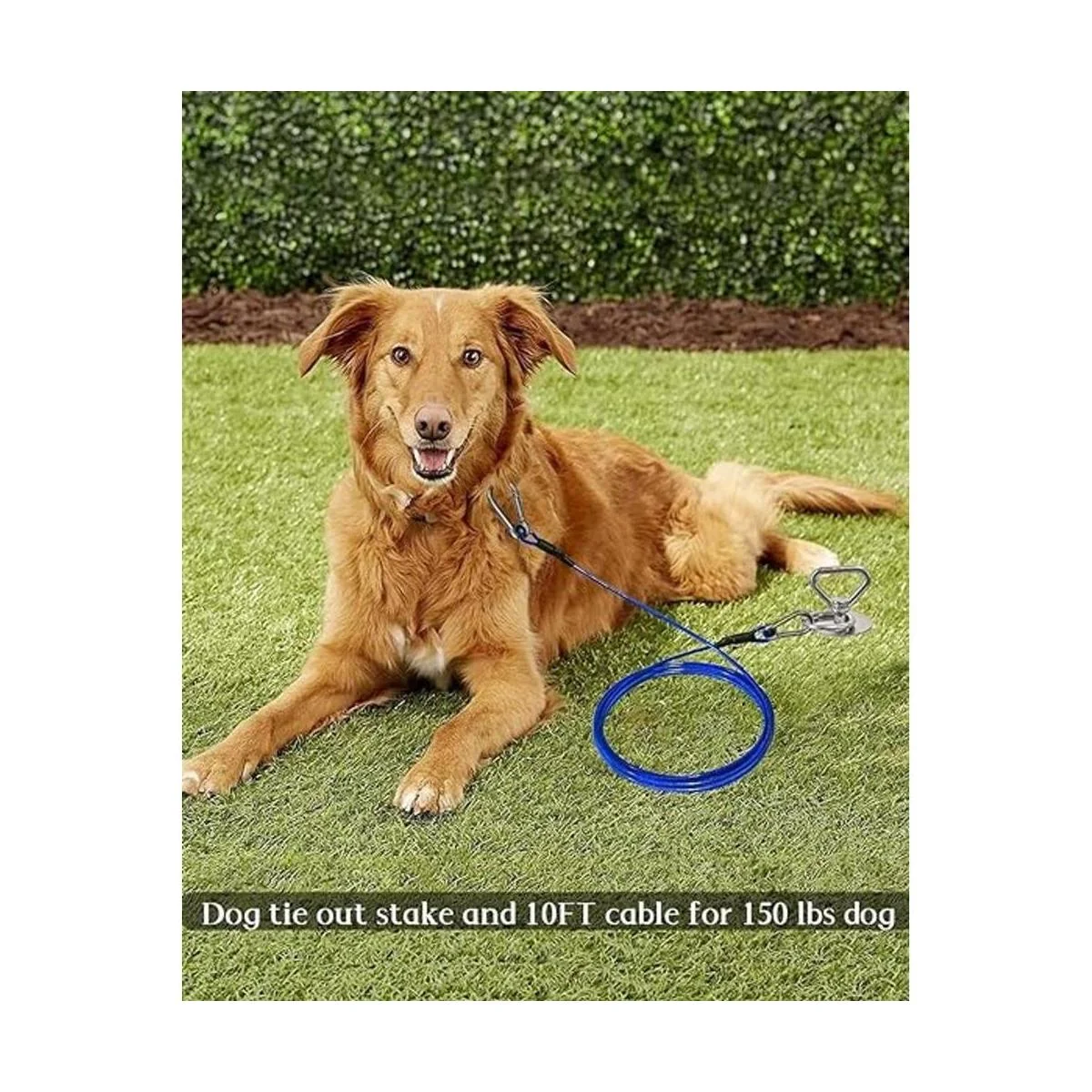 Cable de amarre y estaca para perros accesorios para_2