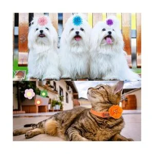 42 piezas de collar de perro con flores accesorios de_5