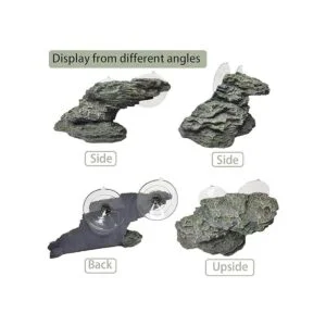 kathson Plataforma de tortuga pequeña para bebé tortuga_3