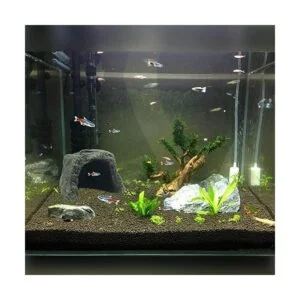 Tfwadmx Gecko Hideout Cueva Lagarto Escondite Tortuga_6