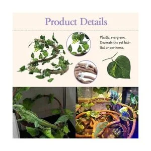 Tfwadmx Gecko Hideout Cueva Lagarto Escondite Tortuga_5