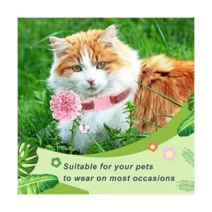 42 piezas de collar de perro con flores accesorios de_3