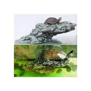 kathson Plataforma de tortuga pequeña para bebé tortuga_7