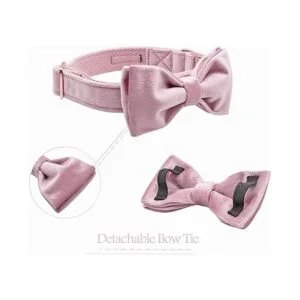 ARING PET Collares de terciopelo para perro con pajarita_3