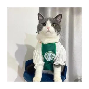 PDFT Ropa para mascotas para gatos ropa para mascotas_2