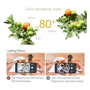 PAVOO Bombillas LED E12 bombillas LED de 16 W_6