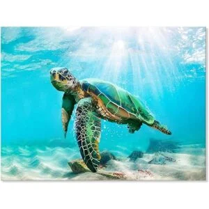 JAPO ART Decoración de pared de tortuga marina verde_1