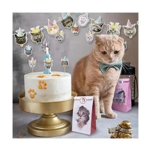 61 piezas de decoración de cumpleaños de gato 14 piezas_4