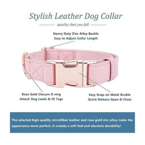 Juego de collar y correa para perro. Piel vegana suave y_3