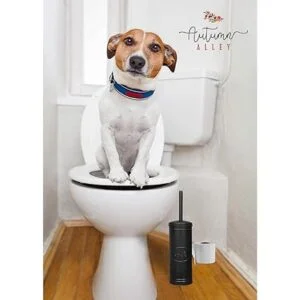 Autumn Alley Juego de escobillas y soporte de baño de_6