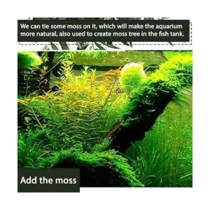 Tfwadmx Natural Driftwood Aquarium Decor Wood Branches_5
