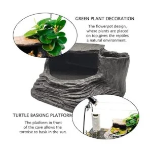 Tfwadmx Tortugas Basking Plataforma Reptil Hábitat_2