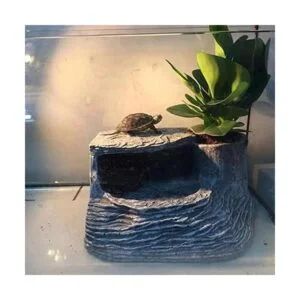 Tfwadmx Tortugas Basking Plataforma Reptil Hábitat_3