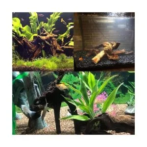 Tfwadmx Natural Driftwood Aquarium Decor Wood Branches_2
