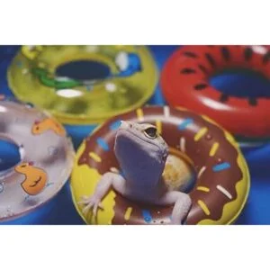 HAICHEN TEC Piscina plegable para baño y refrigeración de_6