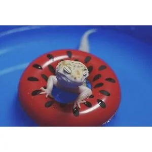 HAICHEN TEC Piscina plegable para baño y refrigeración de_7