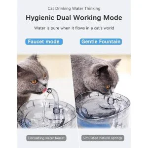 Fuente de agua para gatos dispensador de agua para_3