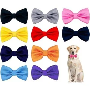 PET SHOW 10 piezas de 2.5 x 4.5 pulgadas grandes collar de_1