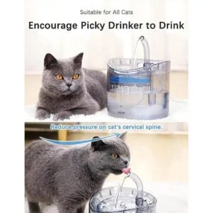 Fuente de agua para gatos dispensador de agua para_6