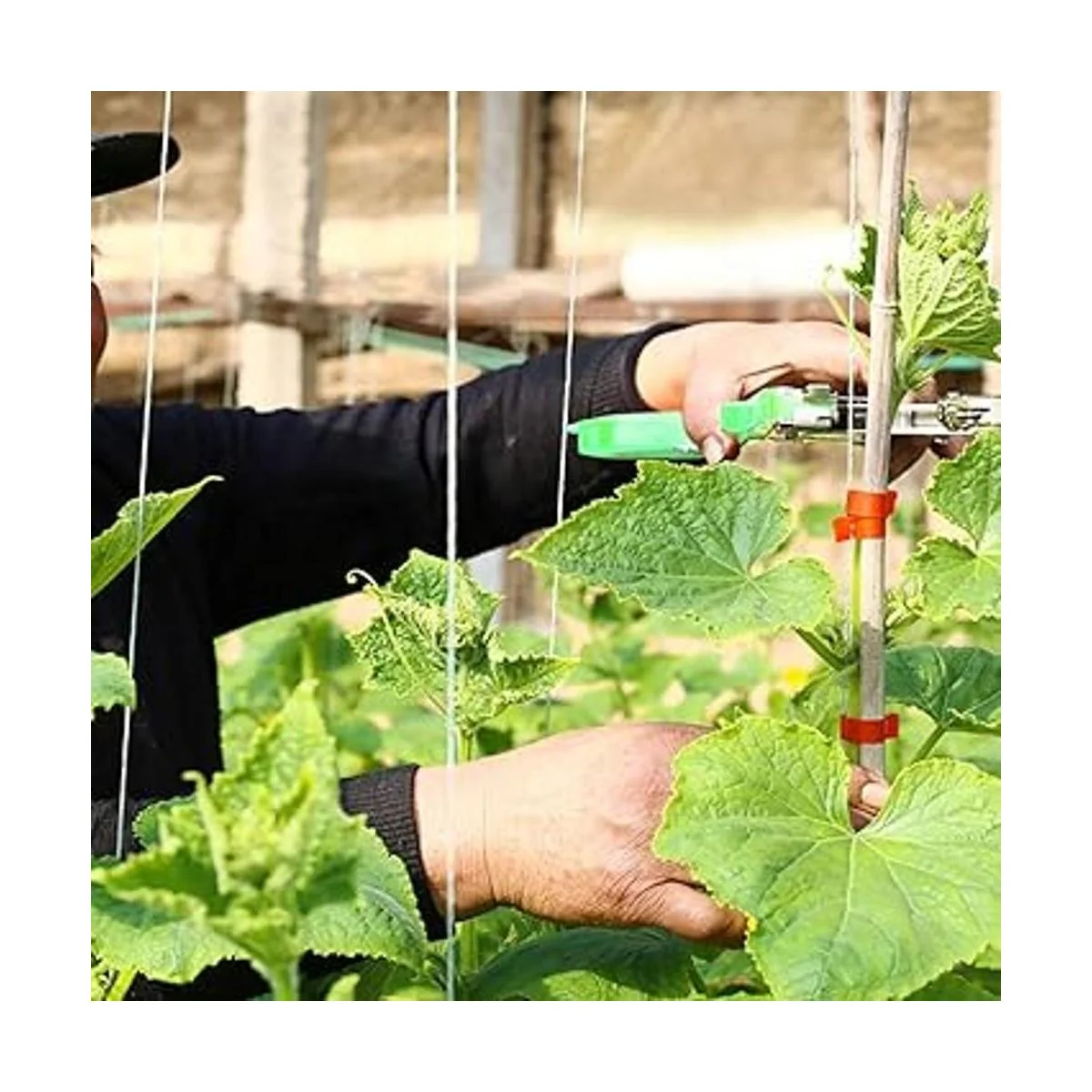 Máquina para atar plantas cinta para atar vides de jardín_3