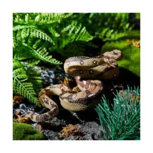 Zomiboo 3 piezas de 53 pulgadas serpiente de goma realista_5