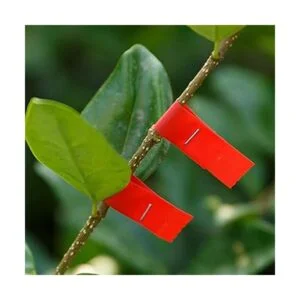 Máquina para atar plantas cinta para atar vides de jardín_4