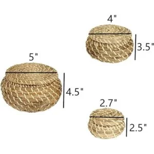 Dicunoy Juego de 3 cestas pequeñas de mimbre con tapa_2
