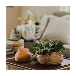 Dicunoy Juego de 3 cestas pequeñas de mimbre con tapa_7